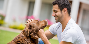 Welcoming Your Adopted Dog: A Guide to Building a Lasting Bond