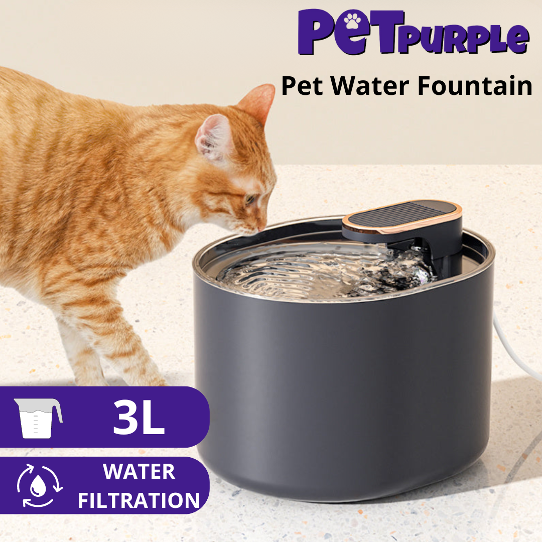 Automatic Electric Pet Water Fountain | Cat & Dog Feeder