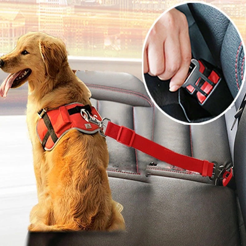 Adjustable Pet Car Seat Belt | Seat Belt for Dogs & Cats