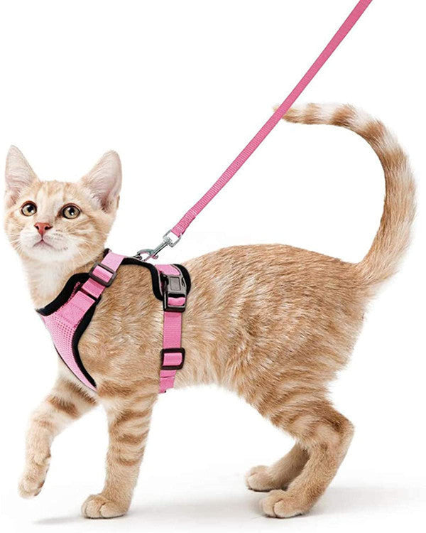 Reflective & Breathable Cat Harness | Best Pet Harnesses in Australia