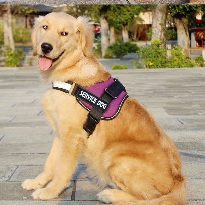 Adjustable Service Dog Harness | Best Dog Harnesses i