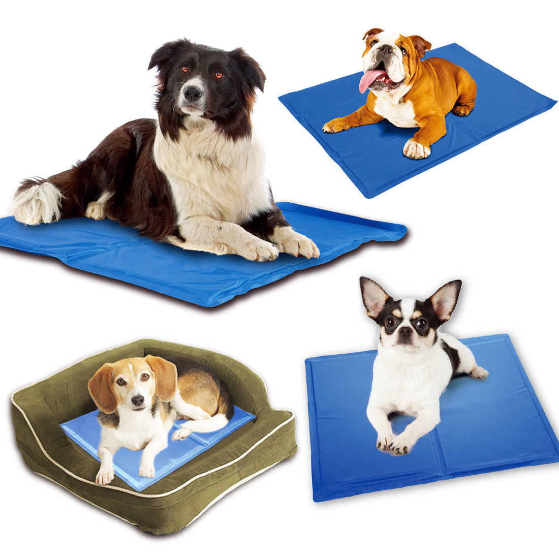 Dog & Cat Cooling Mat | Best Pet Cooling Mat for Summer in Australia Examples