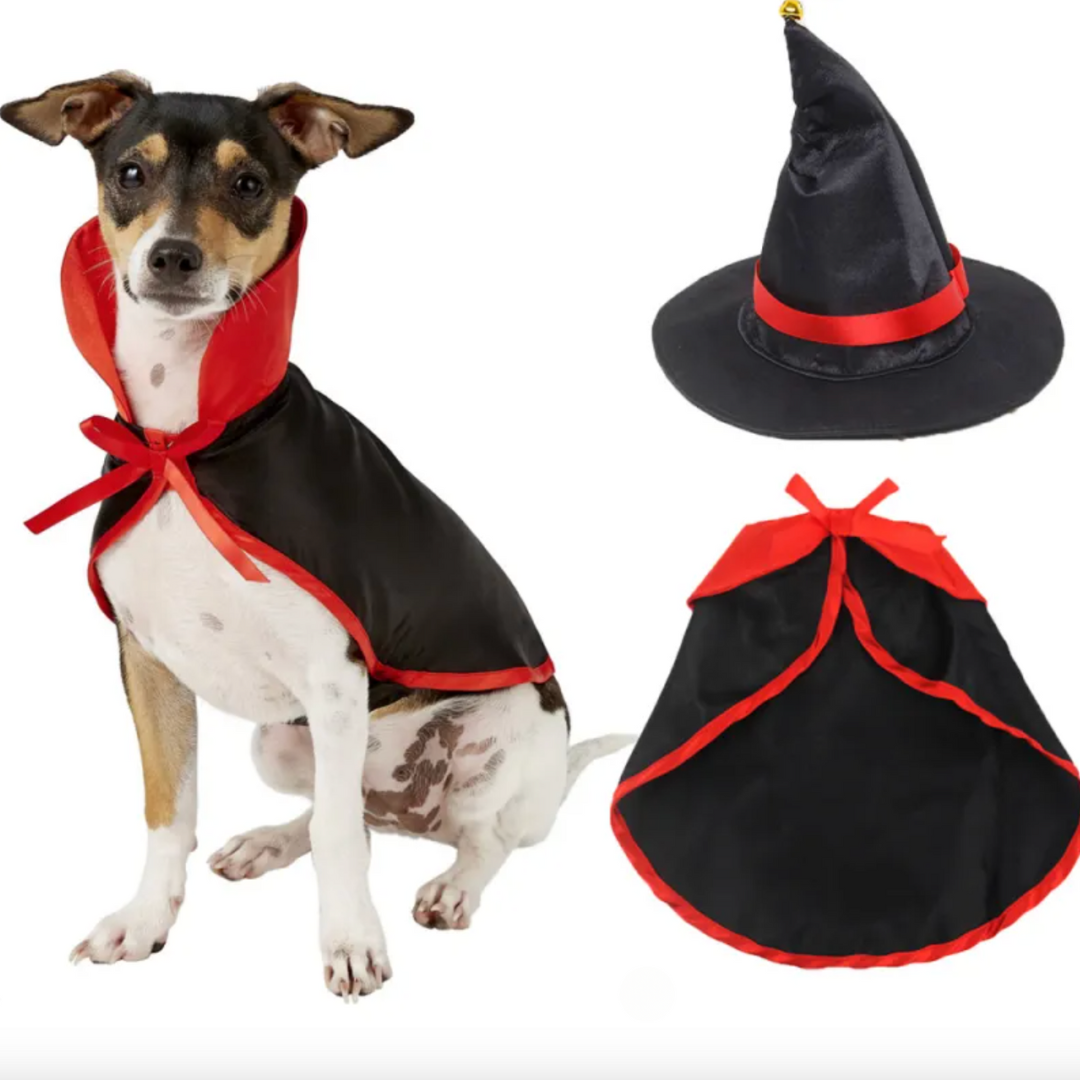 Halloween Dog Costume | Pet Costume