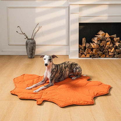 Pet Four Seasons Pet Mat | Best Pet Mat Australia