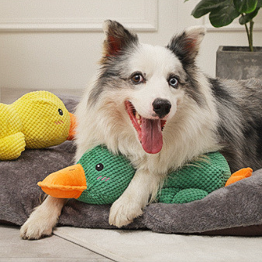 Calming Duck Dog Toy | Chew Toy Teeth