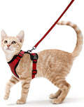 Reflective & Breathable Cat Harness | Best Pet Harnesses in Australia