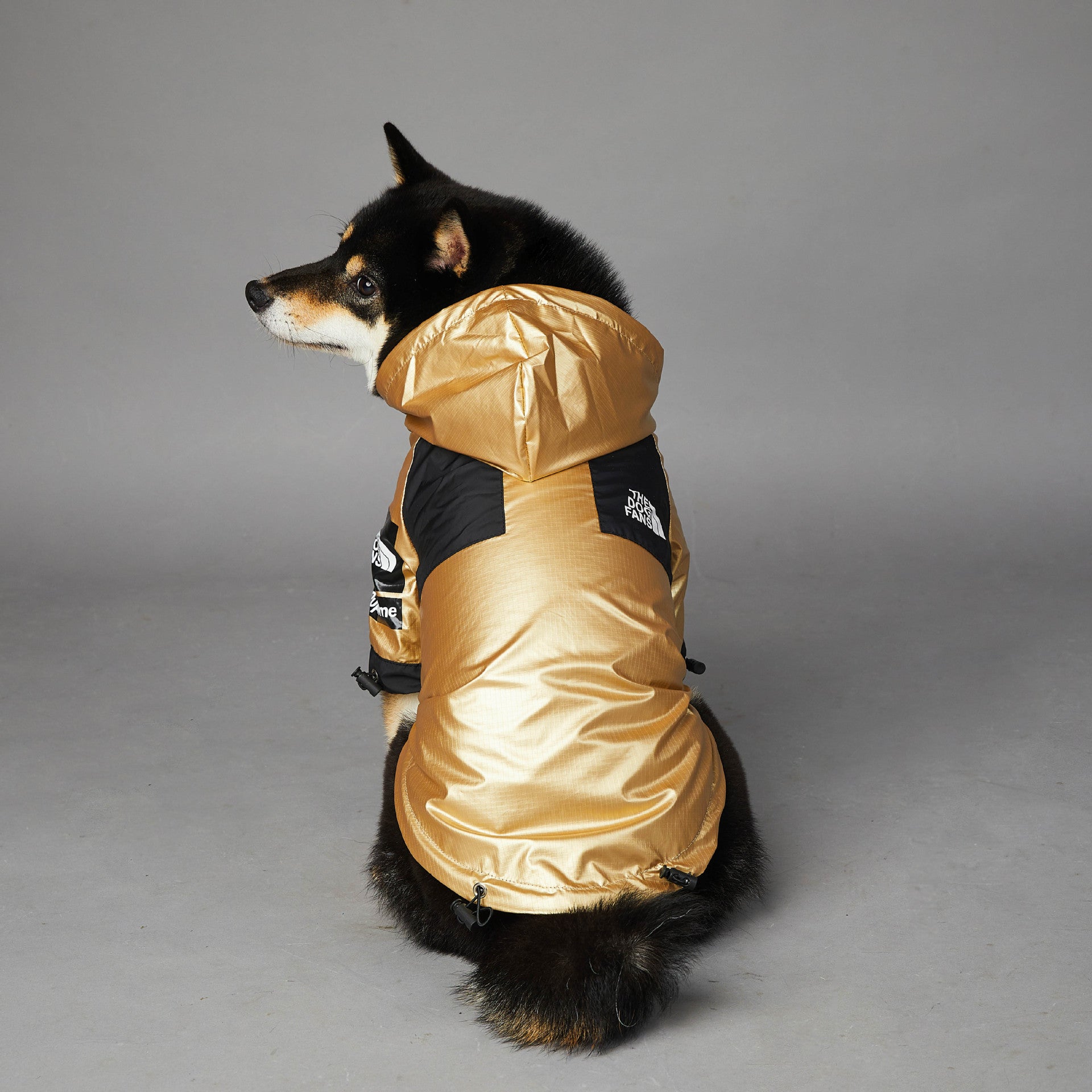 Waterproof Large Dog Raincoat | Best Pet Clothes in Australia