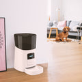 Automatic Pet Feeder 6L | Best Pet Feeding Solution in Australia