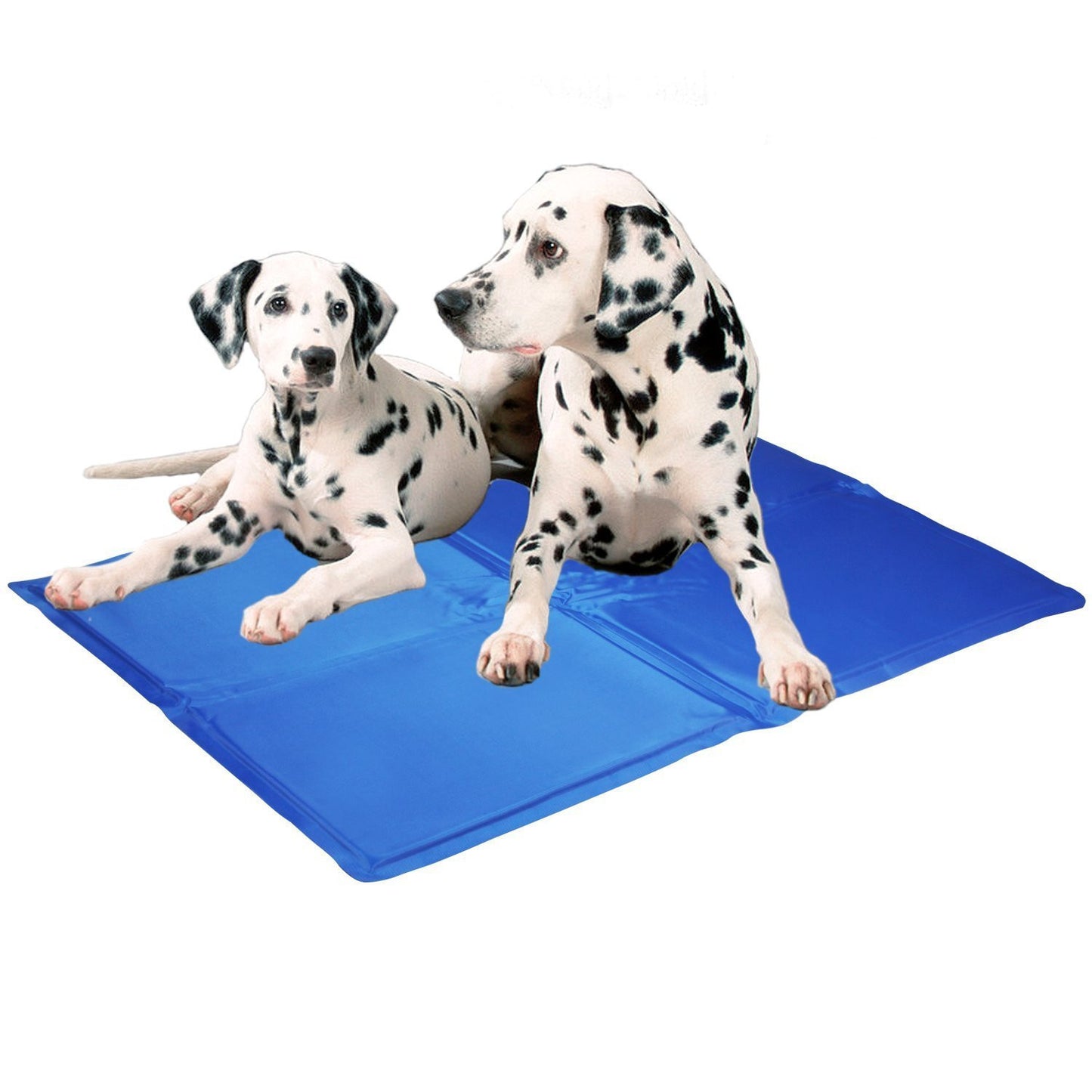 Dog & Cat Cooling Mat | Best Pet Cooling Mat for Summer in Australia Dogs