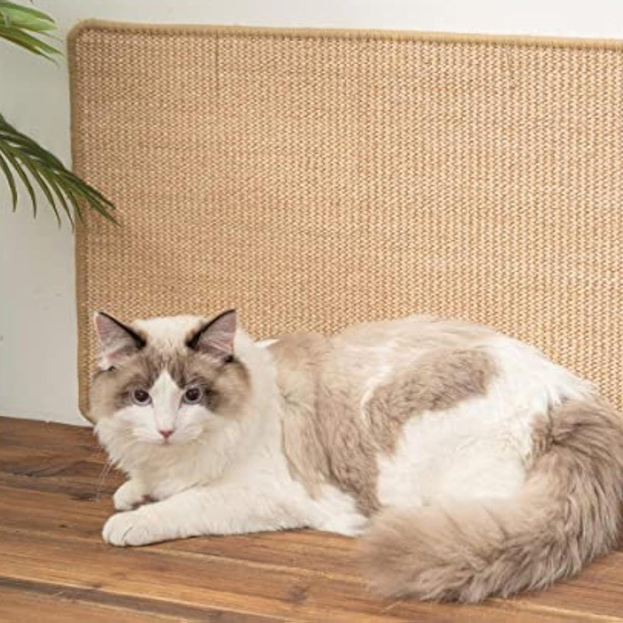 Adhesive Cat Scratching Pad | Best Pet Mat Australia