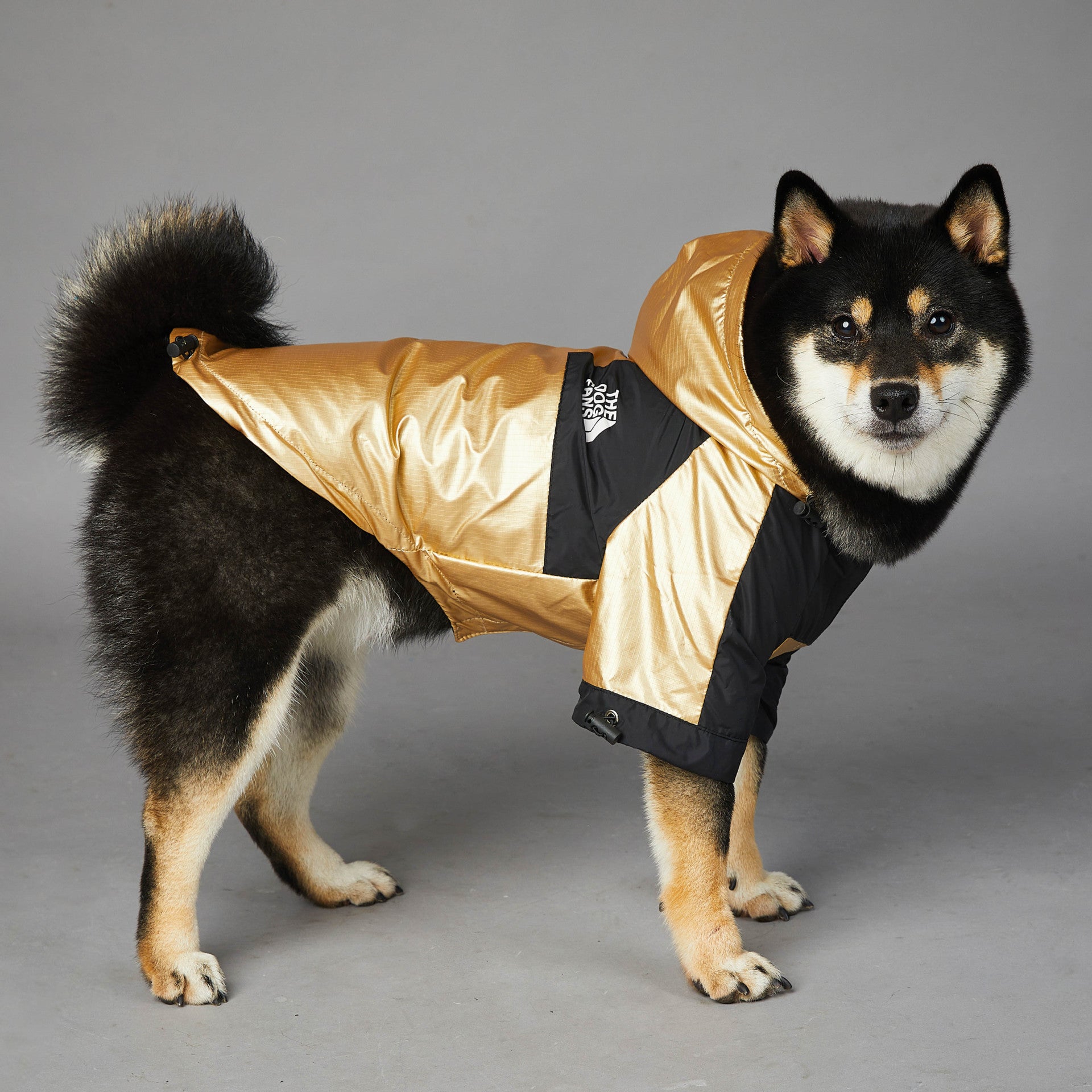 Waterproof Large Dog Raincoat | Best Pet Clothes in Australia