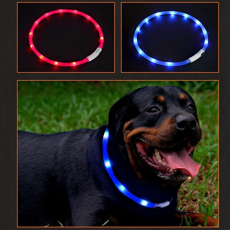 Luminous LED Dog Collar | Best Pet Collars in Australia