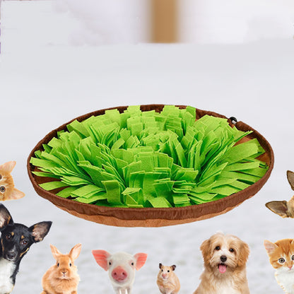 Interactive Sniff Training Mat for Slow Feeding | Best Pet Toys Australia