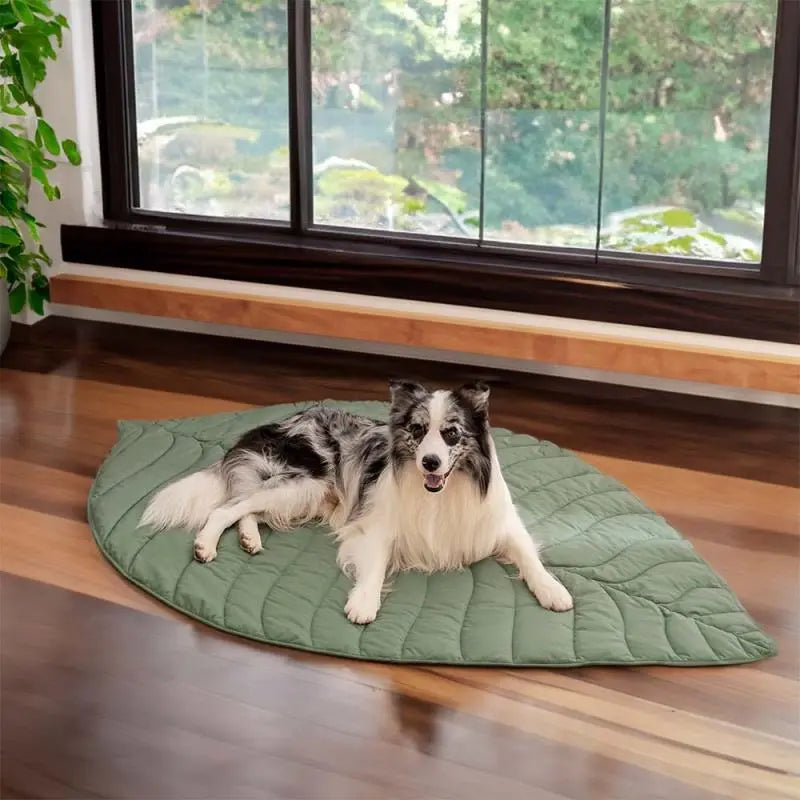 Pet Four Seasons Pet Mat | Best Pet Mat Australia