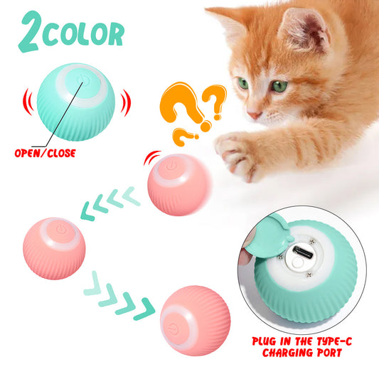 Interactive Rolling Ball for Cats | Best Cat Toys in Australia