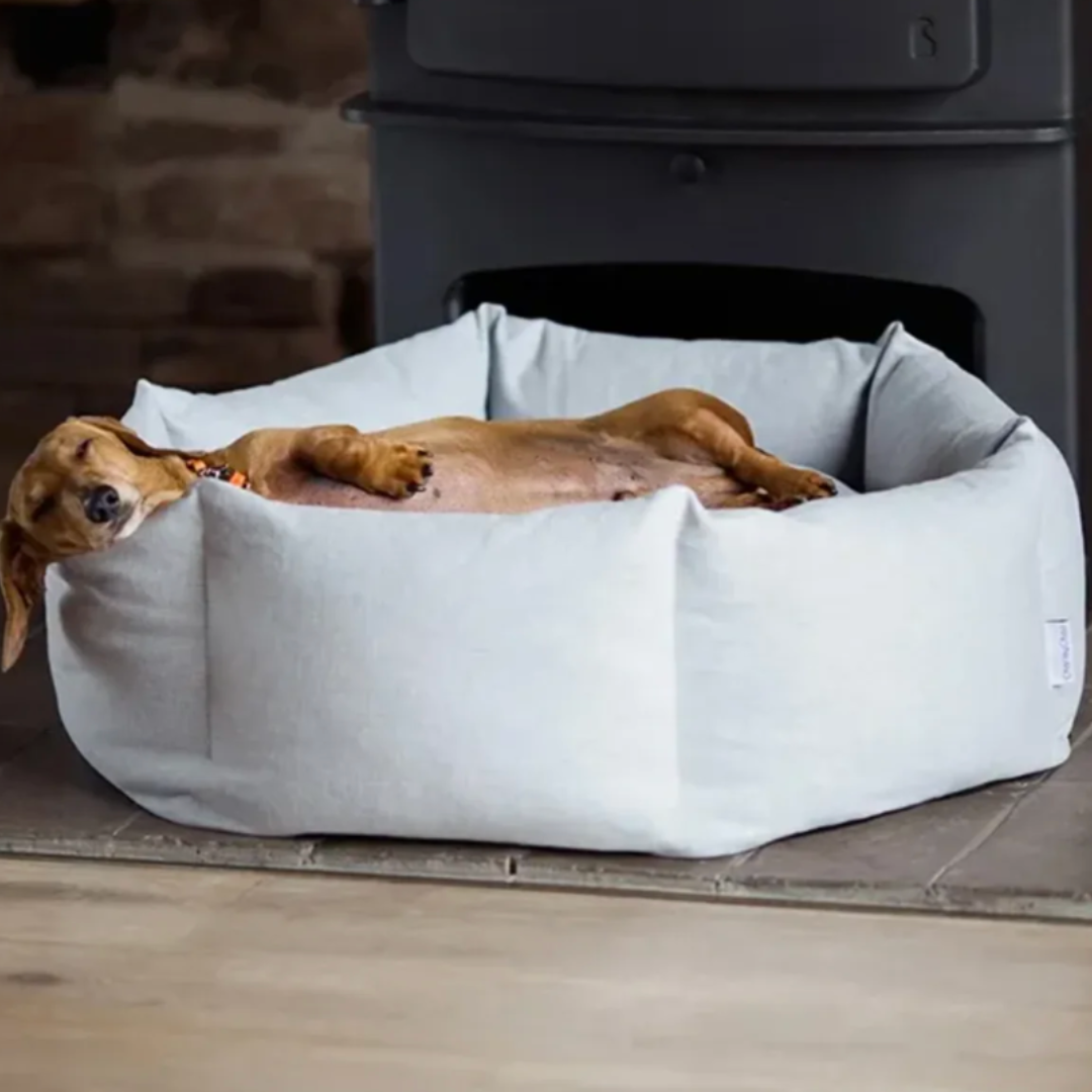 Comfortable & Durable Dog Bed | Plush Pet Bed