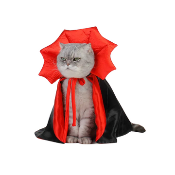 Halloween Cat Costume | Cats & Dogs Costume