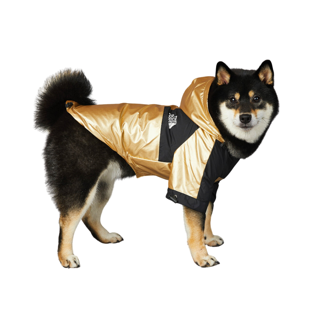 Waterproof Large Dog Raincoat | Best Pet Clothes in Australia