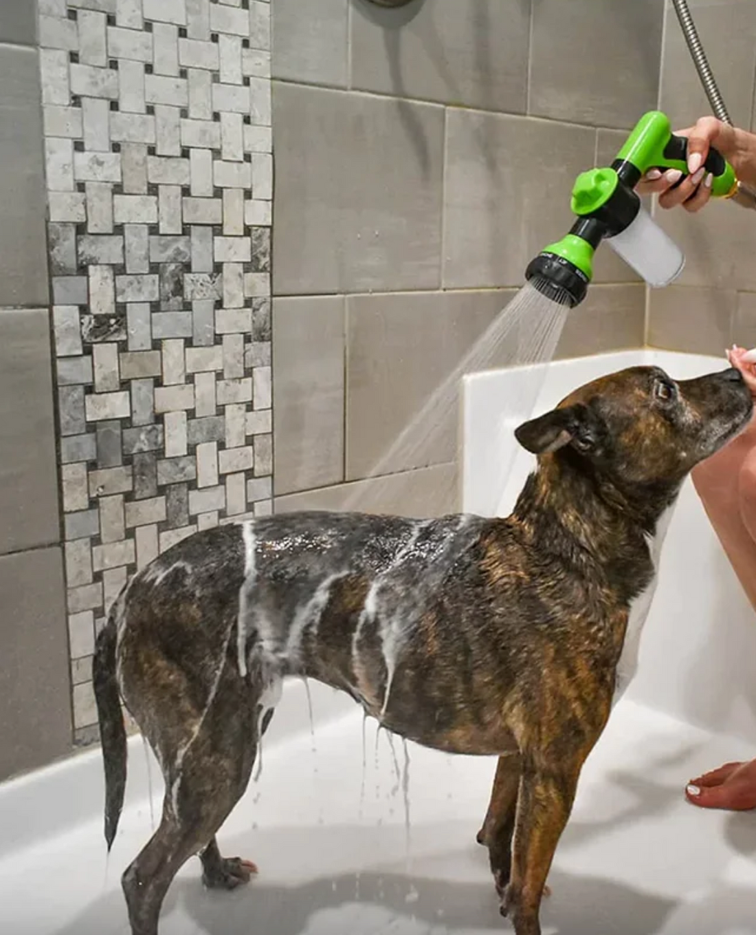 High-Pressure Dog Water Gun | Best Pet Cleaning Products in Australia