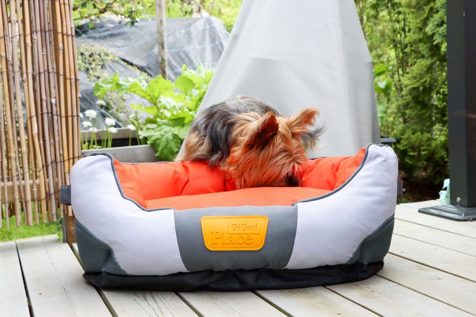 GiGwi Canvas Dog Bed | Pet Bed