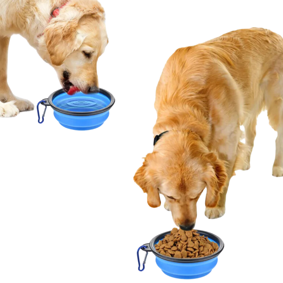 Portable Dog Bowl Pet Feeding Bowl | Travel Dog Bowl in Australia