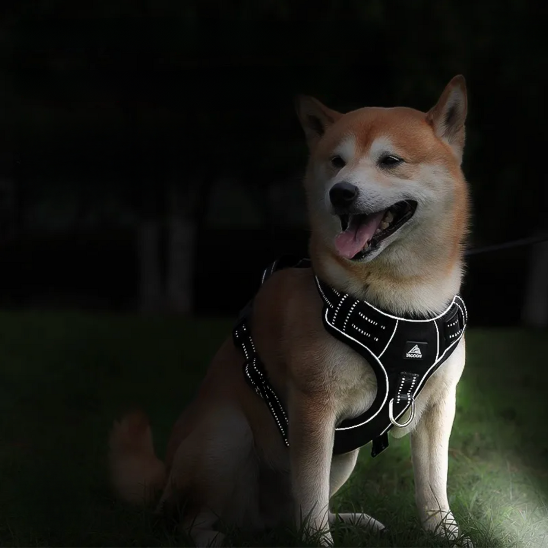 Reflective Dog Harness | Safe & Secure Pet Harness in Australia