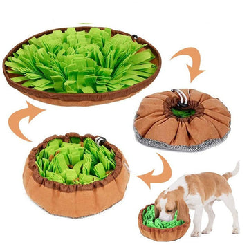 Interactive Sniff Training Mat for Slow Feeding | Best Pet Toys