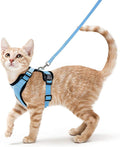 Reflective & Breathable Cat Harness | Best Pet Harnesses in Australia