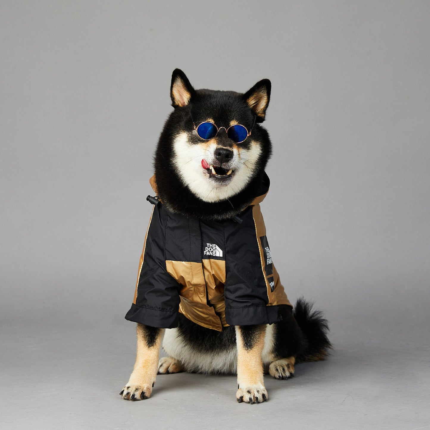 Waterproof Large Dog Raincoat | Best Pet Clothes in Australia