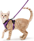 Reflective & Breathable Cat Harness | Best Pet Harnesses in Australia