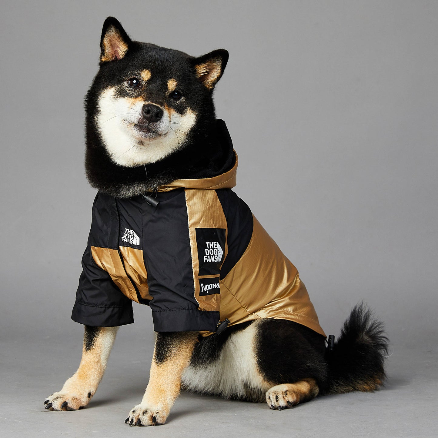 Waterproof Large Dog Raincoat | Best Pet Clothes in Australia