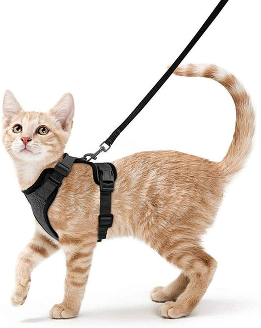 Reflective & Breathable Chest Strap | Best Cat Harness in Australia