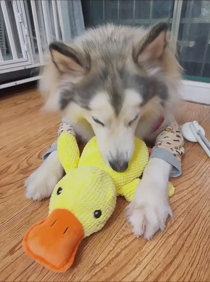 Calming Duck Dog Toy | Chew Toy Teeth Cleaning with Bite Resistant Molars in USA