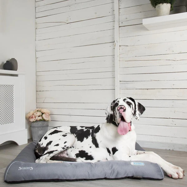 Scruffs Cooling Dog Bed | Dog Beds